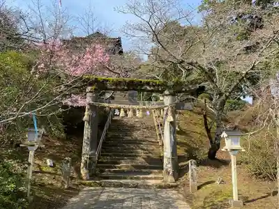 武雄神社(佐賀県)