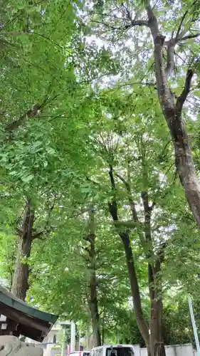 穏田神社(東京都)