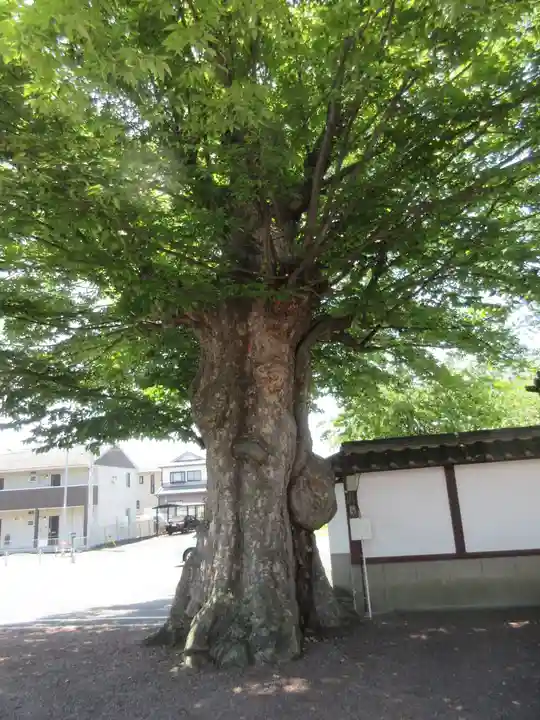 九品寺のその他建物