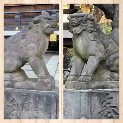 熊野神社の狛犬