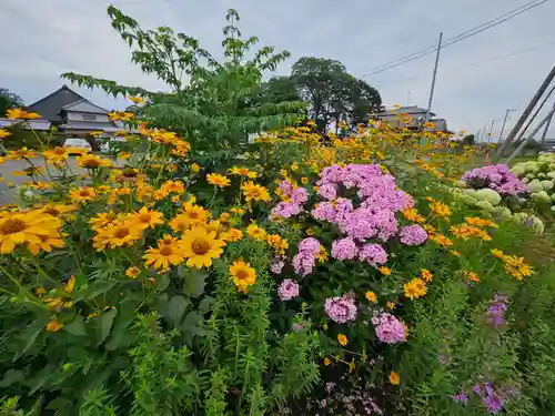 能護寺(埼玉県)