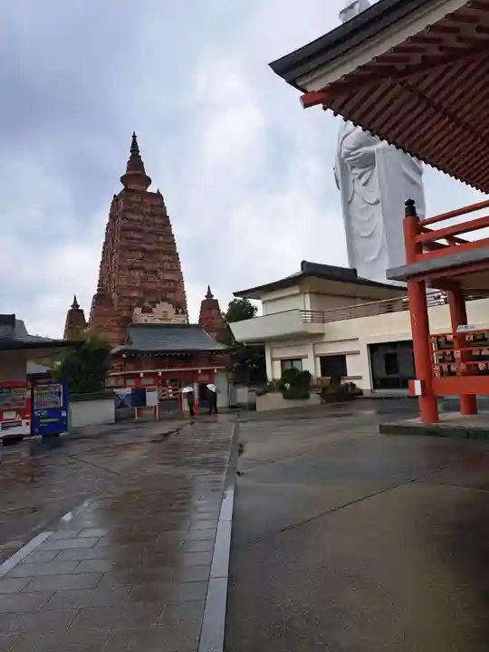 久留米分院(福岡県)