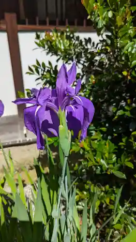 香雪院(京都府)