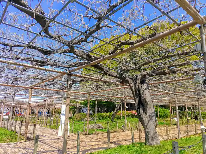 曼陀羅寺の庭園