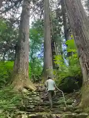 白山中居神社の自然