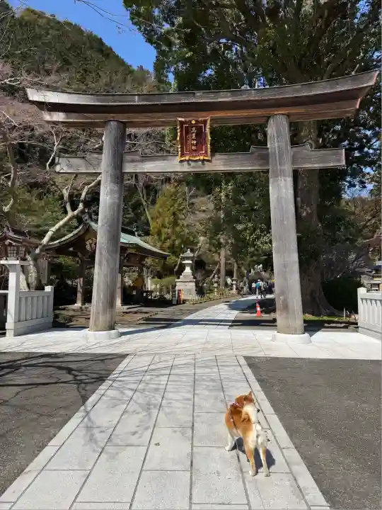 高麗神社(埼玉県)