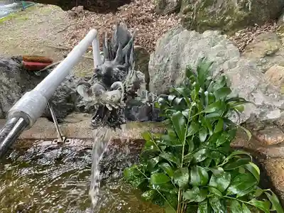天鷹神社(岐阜県)