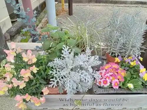 篠津神社(滋賀県)