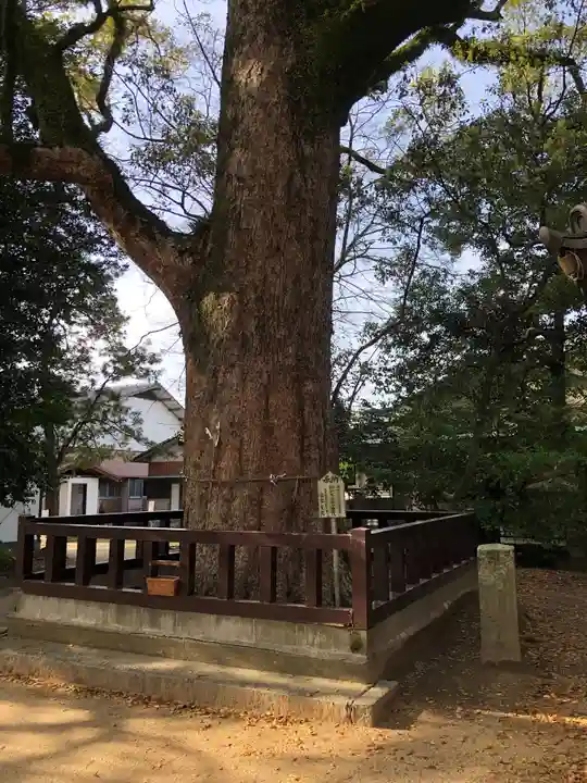 御勢大霊石神社 の自然