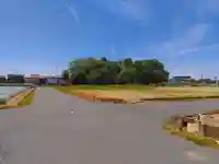 稲荷社(三番割)の自然