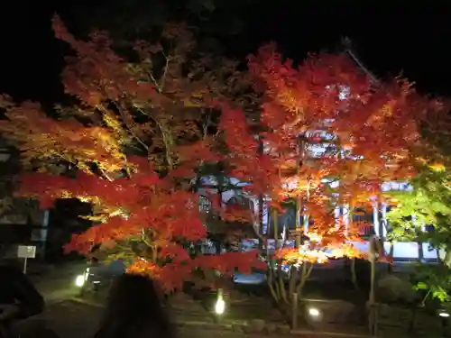 禅林寺（永観堂）の庭園