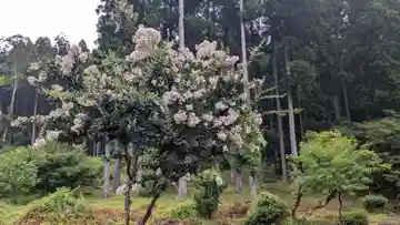 蓮華寺(福井県)