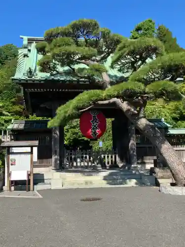 長谷寺の{uncategorized: "未分類", other: "その他", undefined: "問題あり", building: "その他建物", grave: "お墓", sacred_gate: "鳥居", guardian: "狛犬", statue: "像", buddha: "仏像", history: "歴史", nature: "自然", garden: "庭園", animal: "動物", pagoda: "塔", temizu: "手水舎", mountain_gate: "山門・神門", sanctuary: "本殿・本堂", subordinate: "末社・摂社", art: "芸術", scenery: "景色", jizo: "地蔵", ema: "絵馬", goshuin: "御朱印", omikuji: "おみくじ", items: "授与品その他", amulet: "お守り", goshuincho: "御朱印帳", eats: "食事", festival: "お祭り", votive_dance: "神楽", shichigosan: "七五三参", wedding: "結婚式", experience: "体験その他", initially: "初詣", around: "周辺", anti_infection: "感染症対策"}