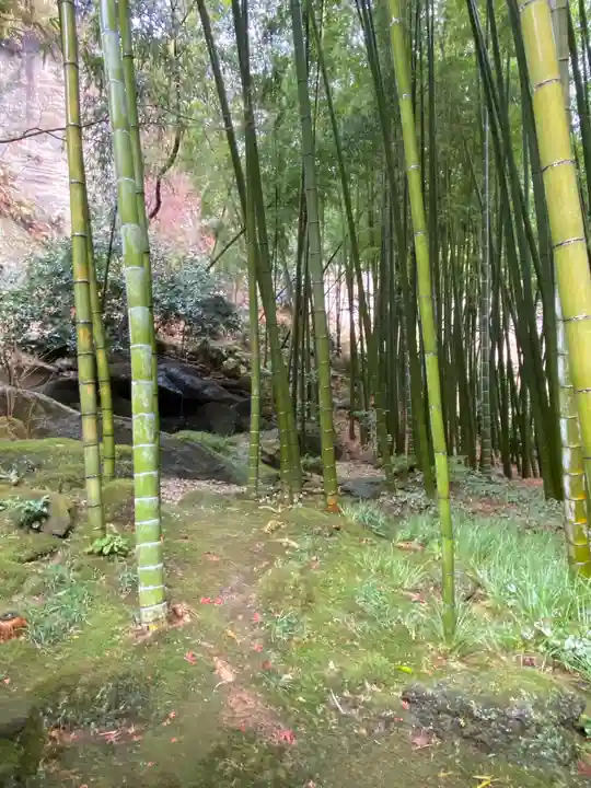 報国寺(神奈川県)