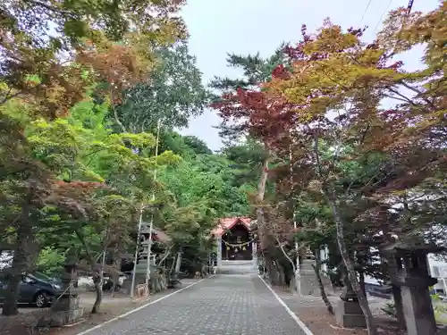 遠軽神社の景色