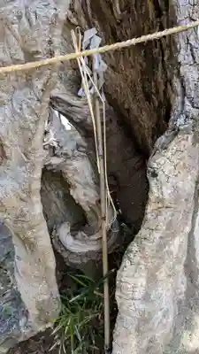 天神社(大分県)