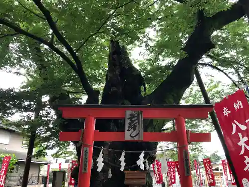 秩父今宮神社の自然