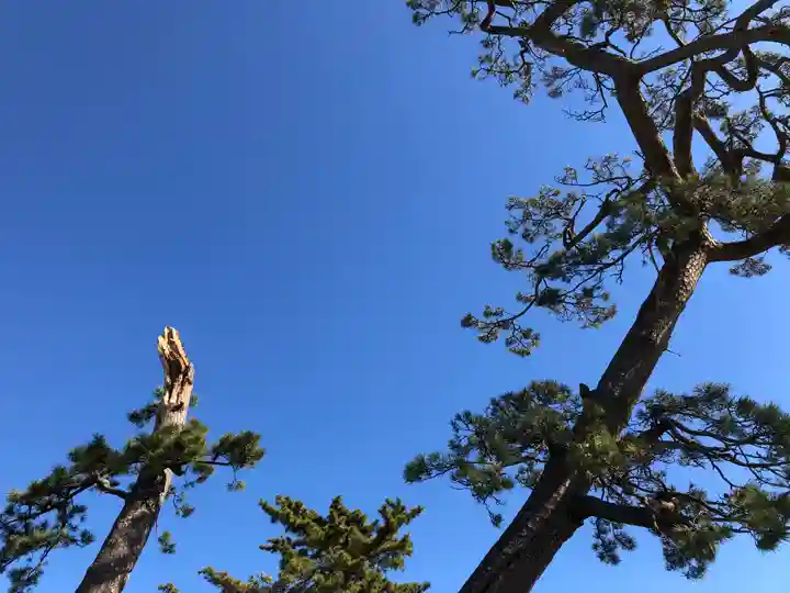 八重垣神社の自然