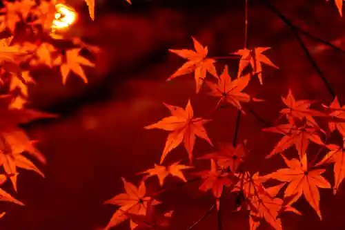 北野天満宮(京都府)