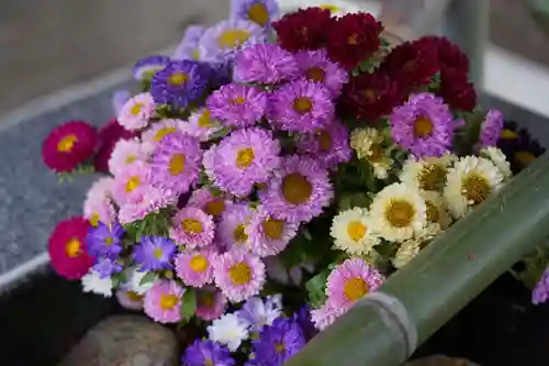 高司神社〜むすびの神の鎮まる社〜の手水舎