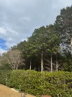 椿ノ海　水神社(千葉県)