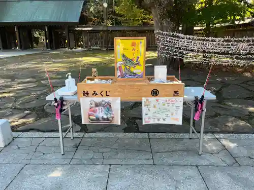 帯廣神社のおみくじ