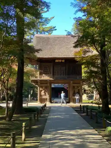 平林寺(埼玉県)