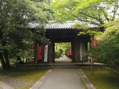 醍醐寺の山門・神門