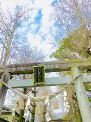 金村別雷神社(茨城県)