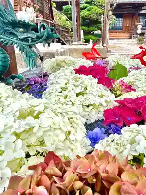 長遠寺の手水舎