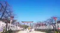 尾張大國霊神社(国府宮)の鳥居