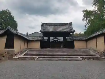 隨心院(随心院)(京都府)
