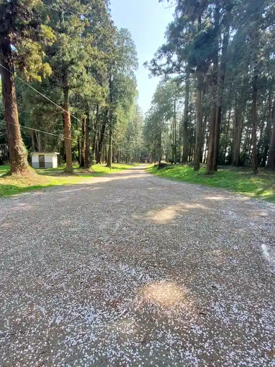 中村八幡宮(栃木県)