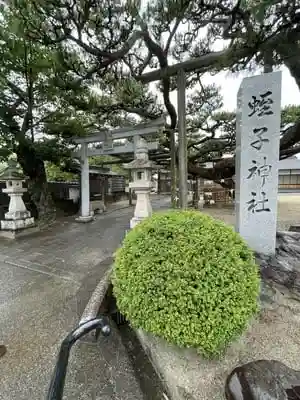 名古曽蛭子神社の建物その他