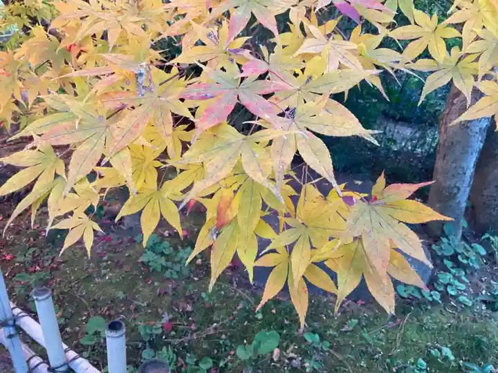 本土寺(千葉県)