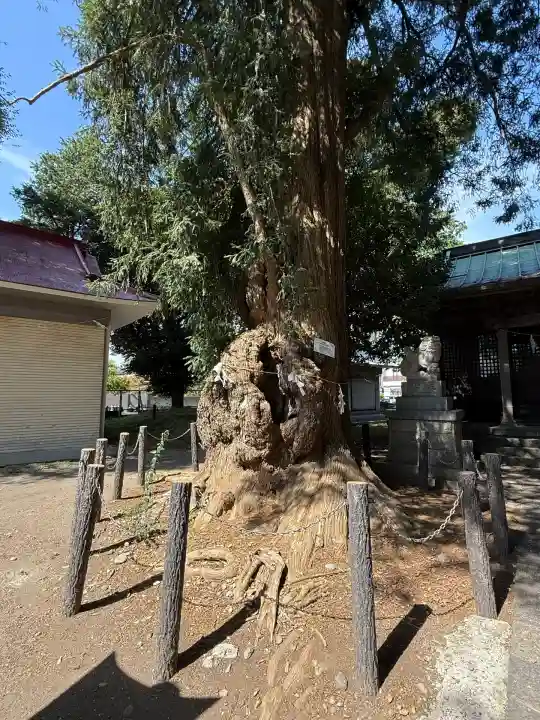勝福寺(神奈川県)