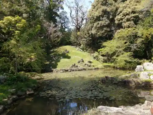 大福寺の庭園