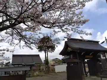 常国寺(新潟県)