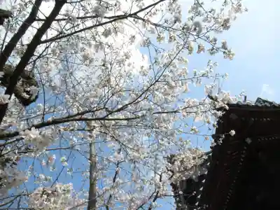 慶龍寺(茨城県)