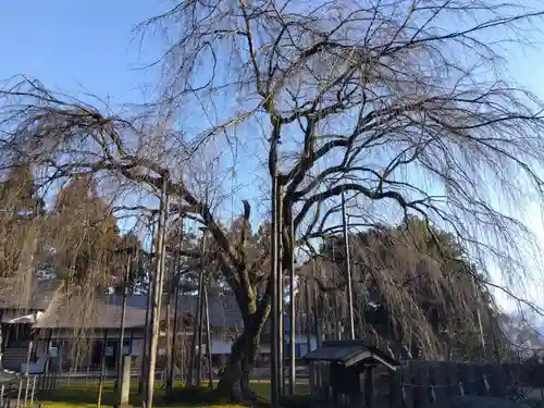 足羽神社(福井県)