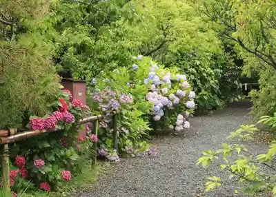 梅宮大社(京都府)