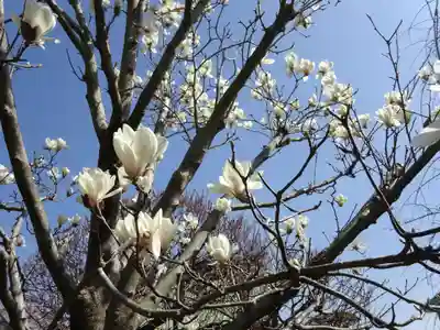 長谷寺(神奈川県)