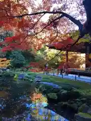 南禅寺(京都府)