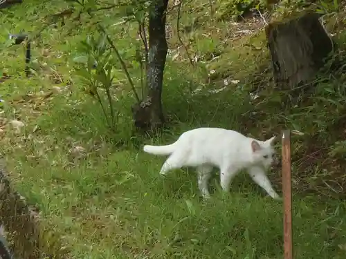 黄梅院(岐阜県)