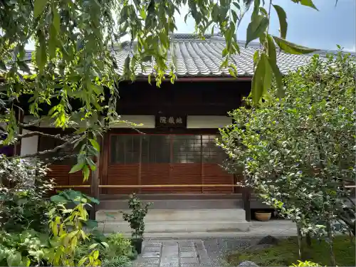 地蔵院（椿寺）(京都府)