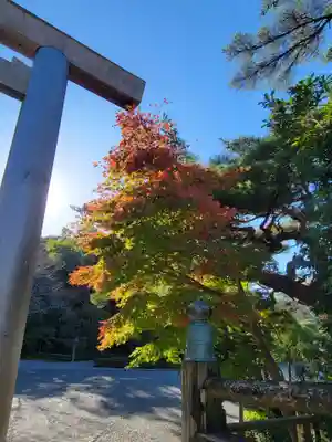 伊勢神宮内宮（皇大神宮）(三重県)