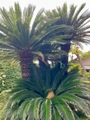 善明寺(東京都)