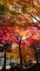 相馬神社(北海道)