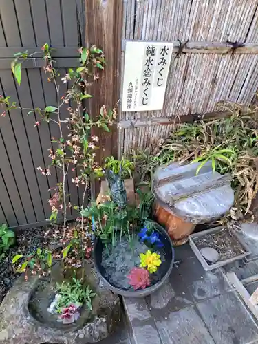 九頭龍神社(東京都)