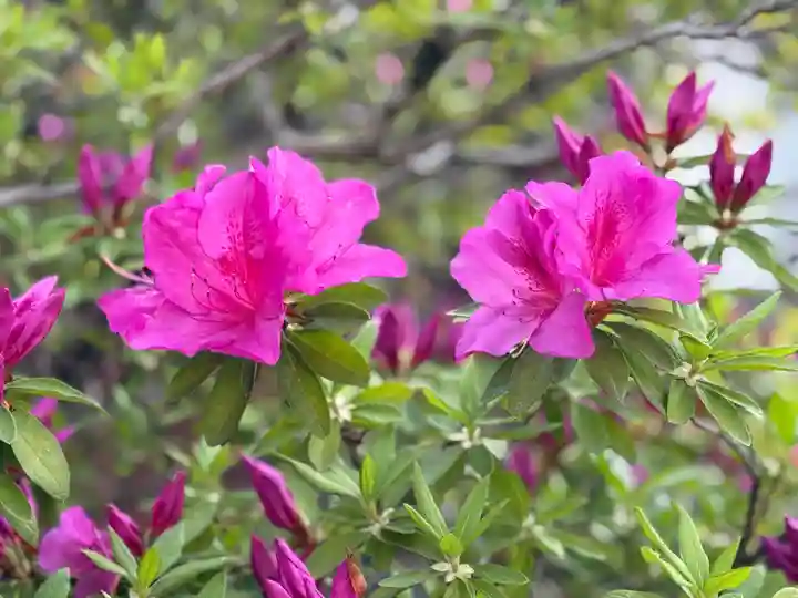 西方山極楽寺(岐阜県)